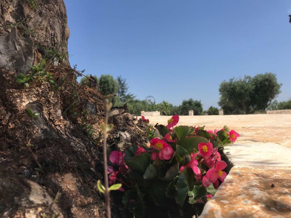 Trulli da Lalli Ostuni Esterno foto